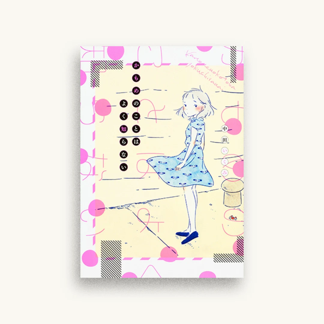 かもめのことはよく知らない