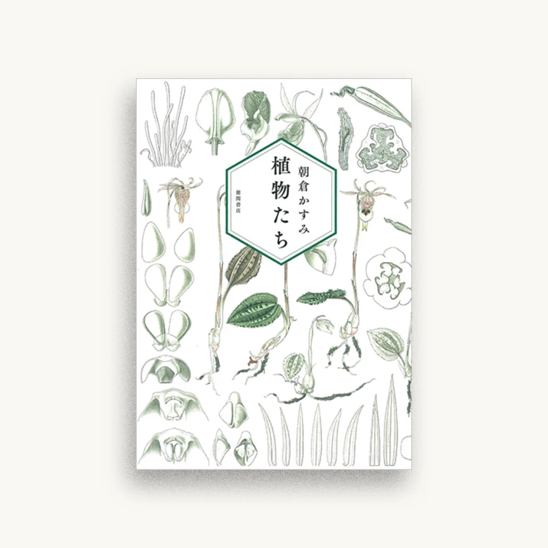 植物たち