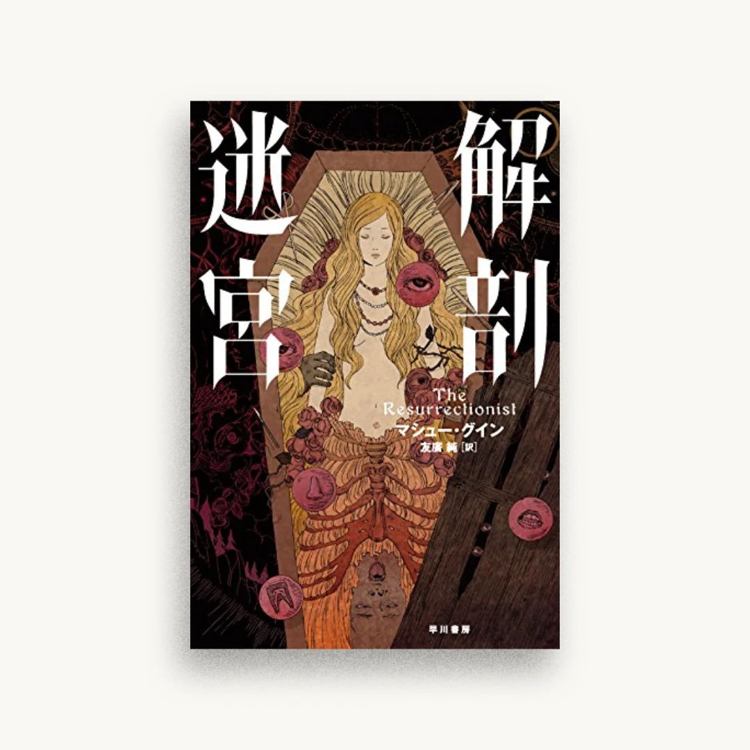 解剖迷宮