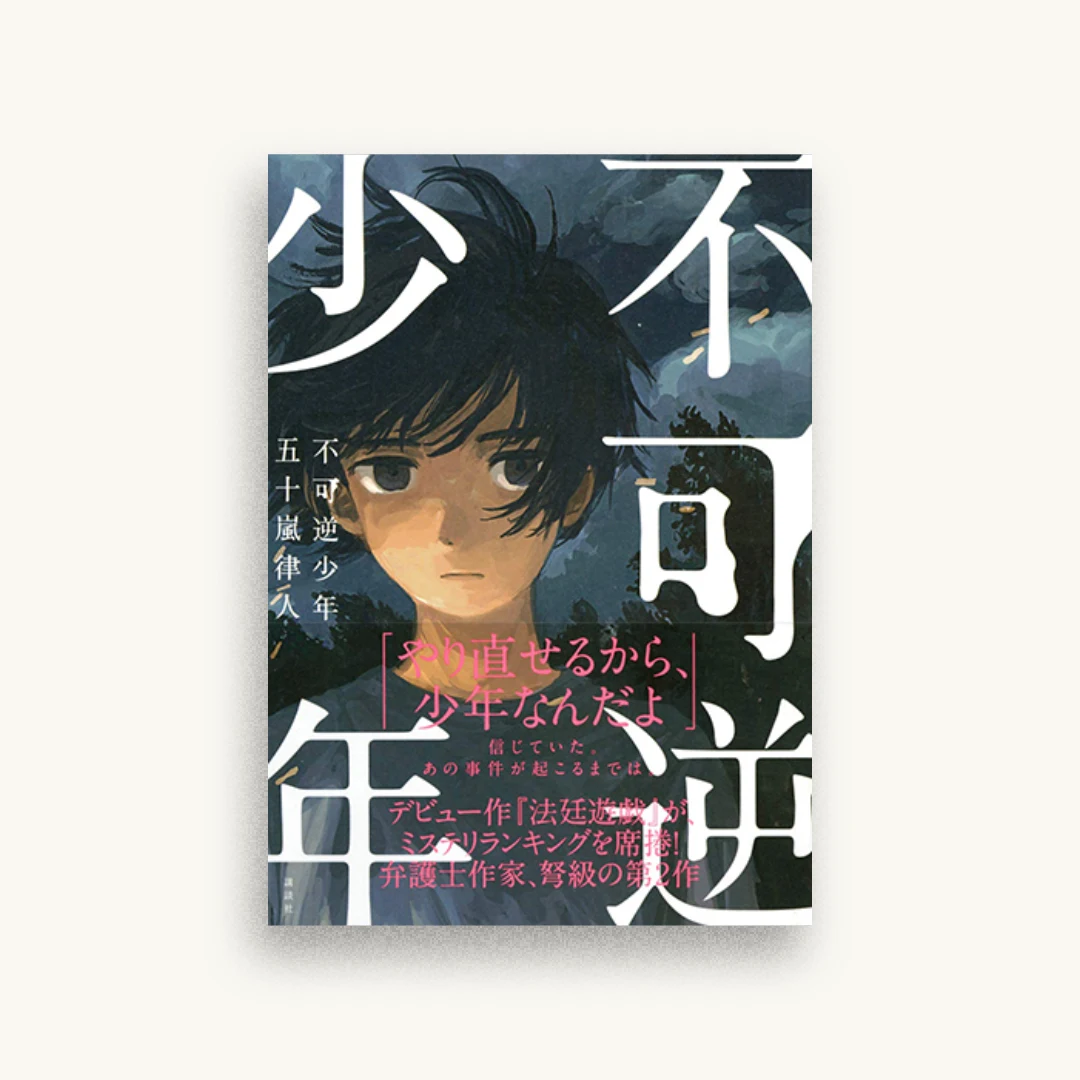 不可逆少年