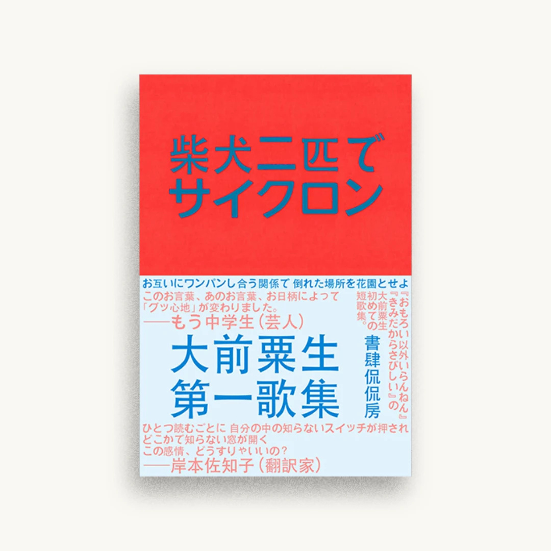 柴犬二匹でサイクロン