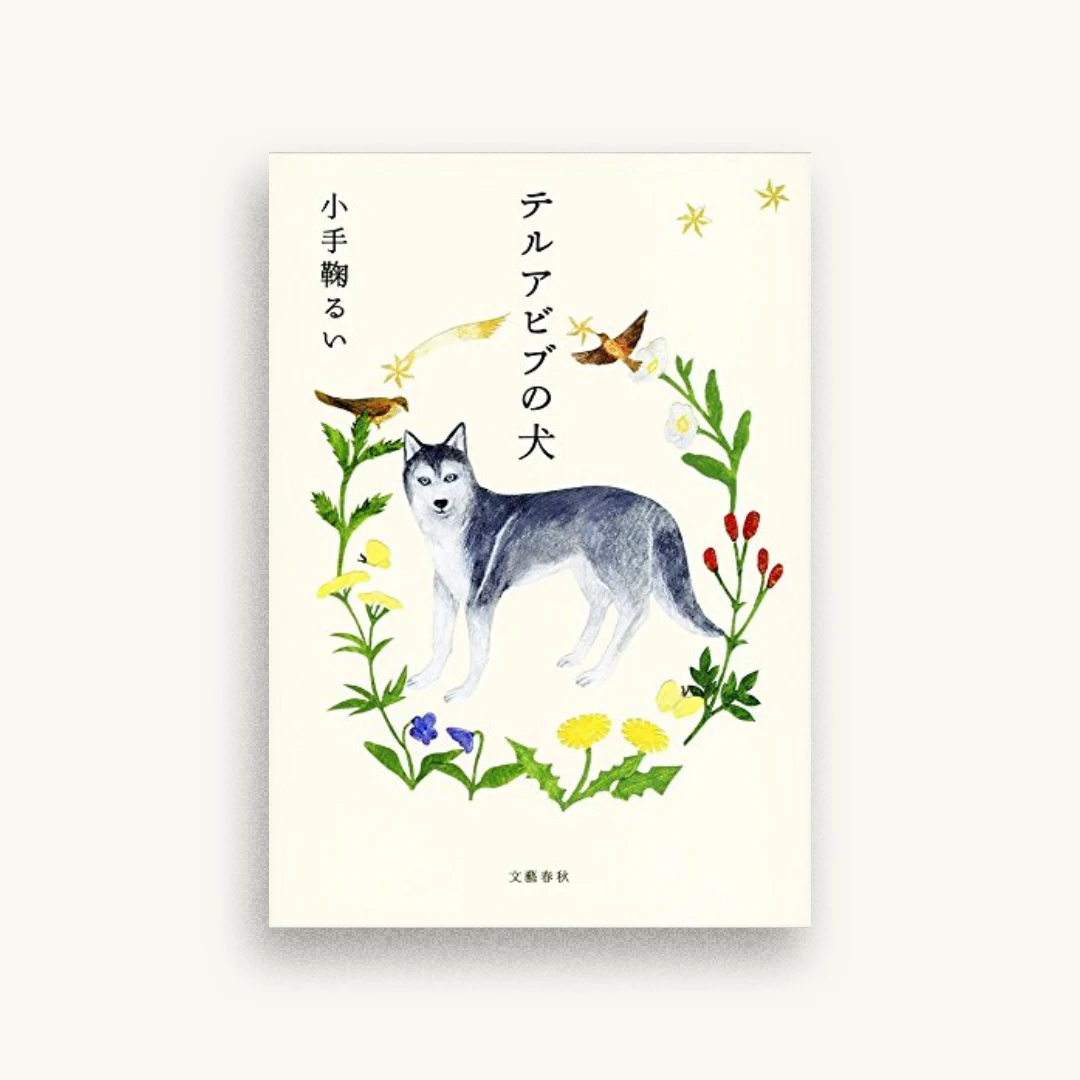 テルアビブの犬