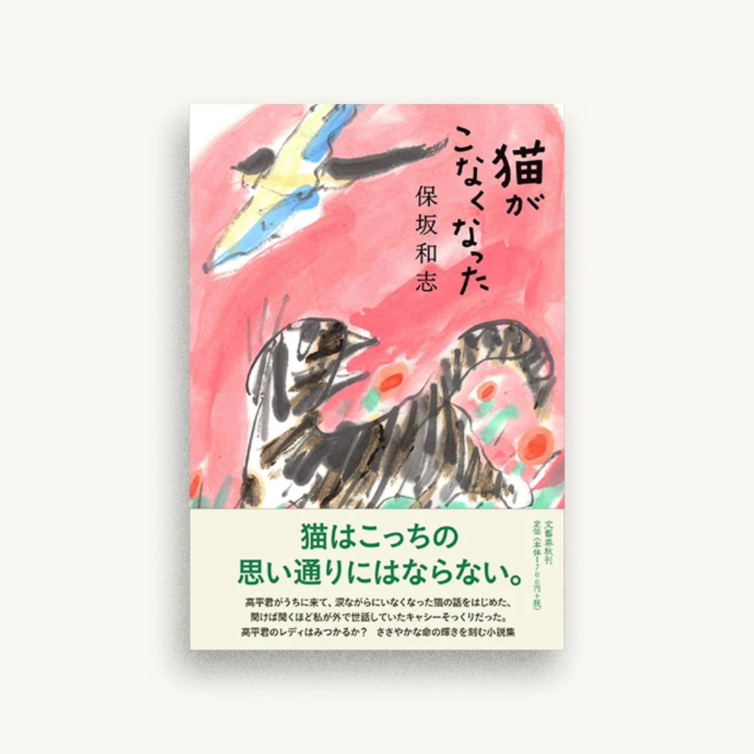 猫がこなくなった