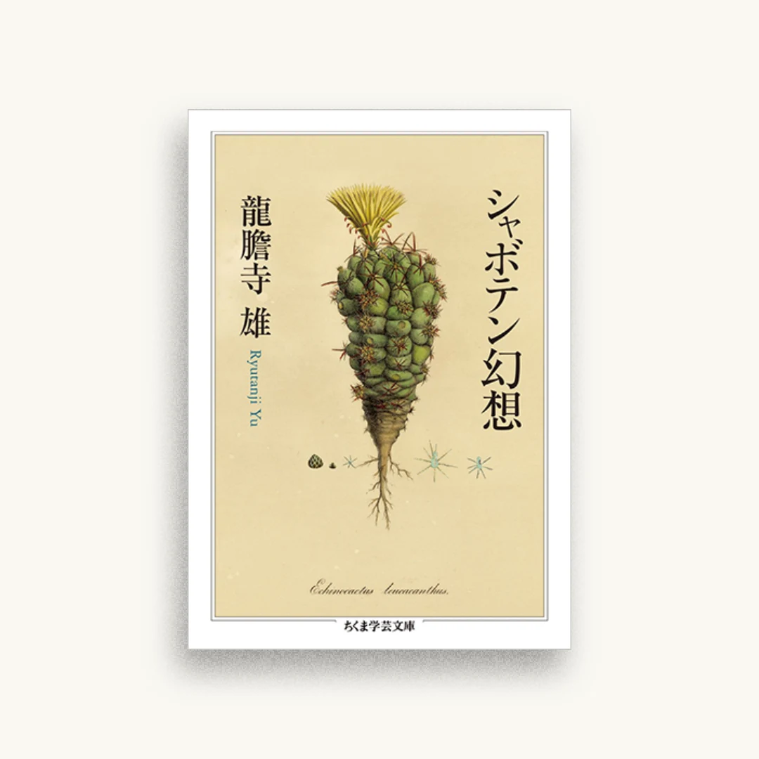 シャボテン幻想