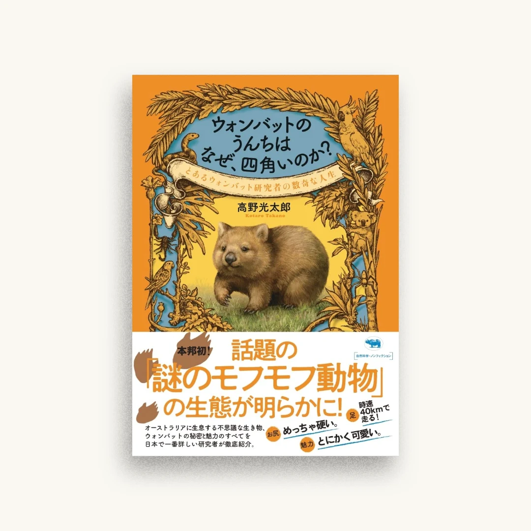 ウォンバットのうんちはなぜ、四角いのか?