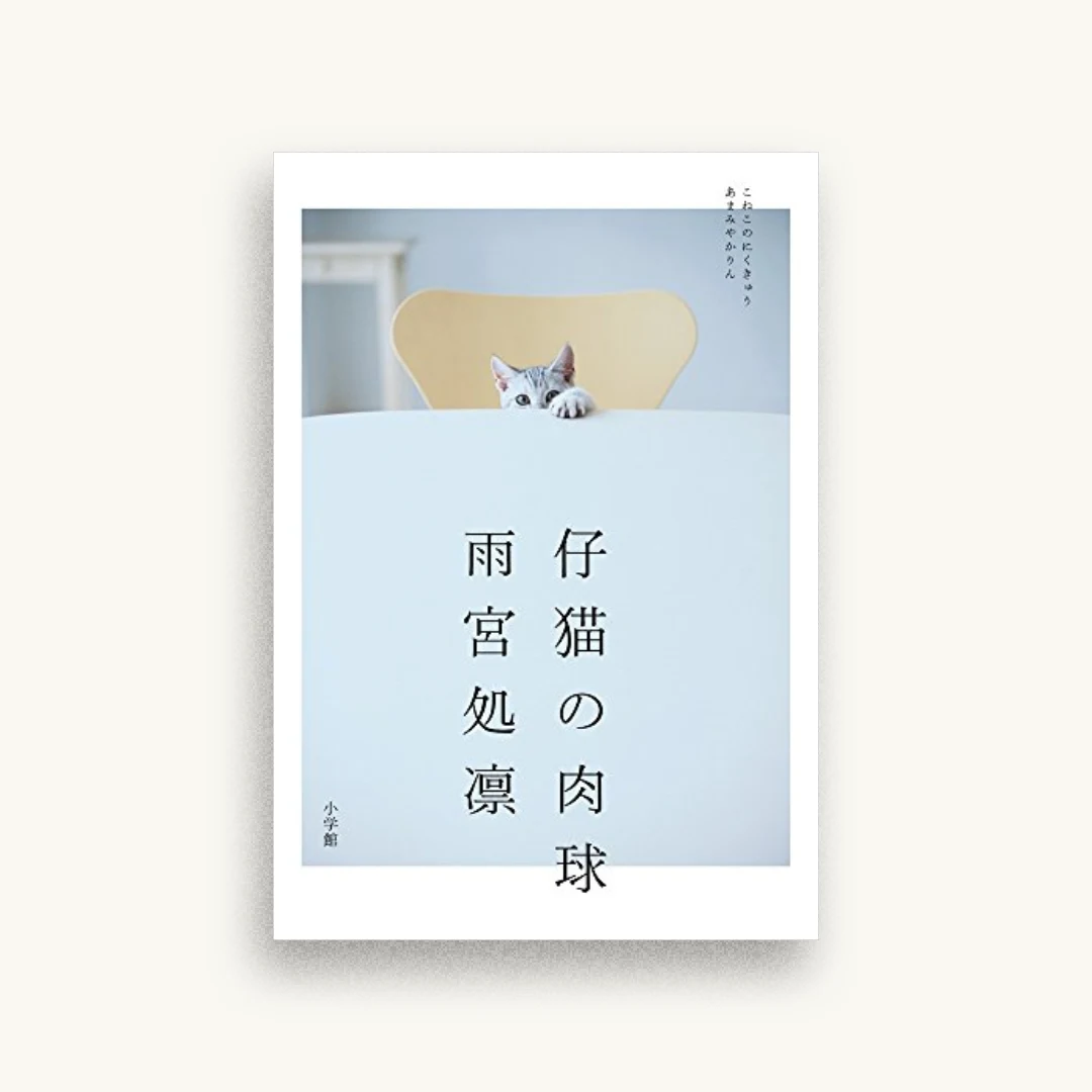 仔猫の肉球