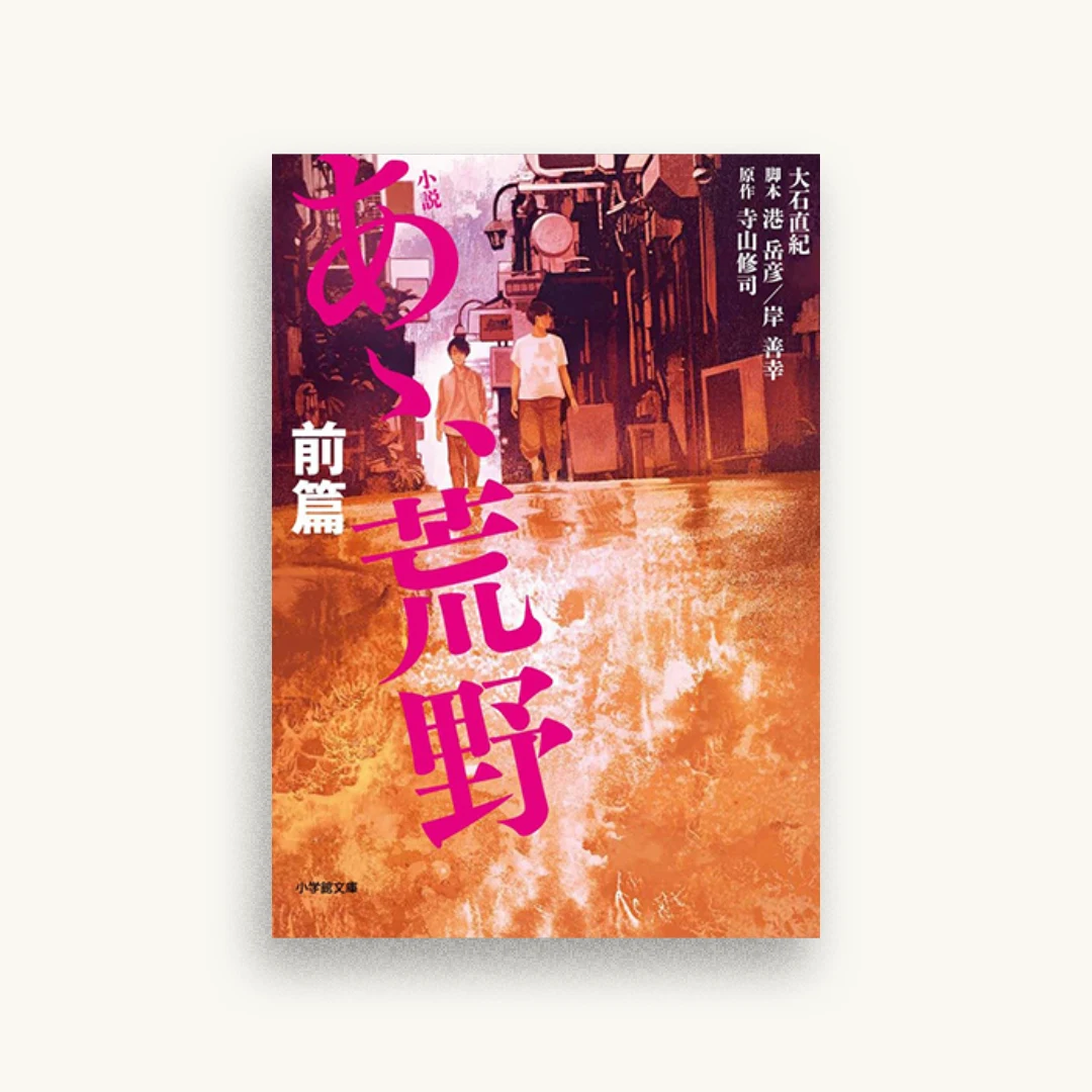 小説 あゝ、荒野 前篇