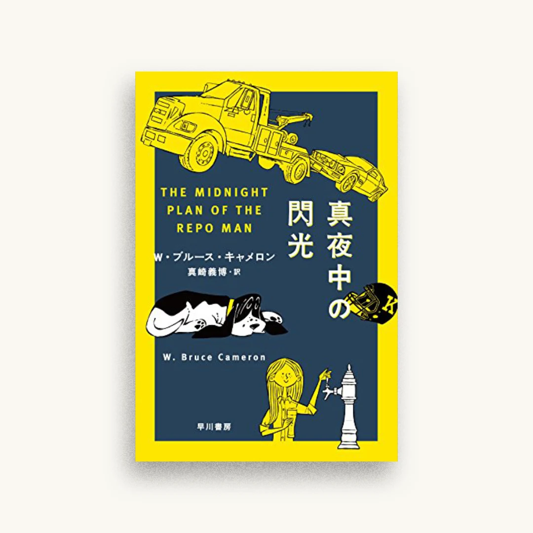 真夜中の閃光