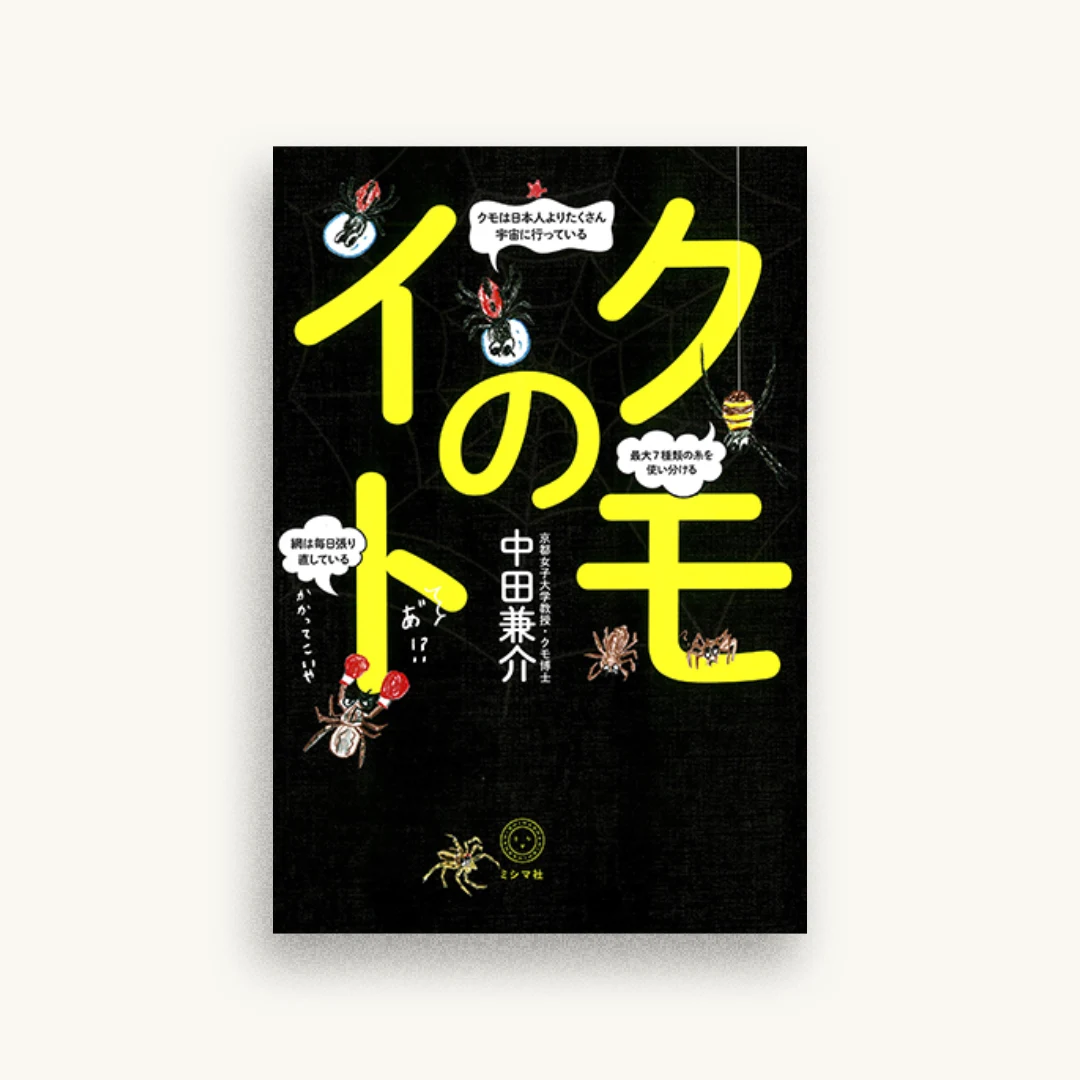 クモのイト
