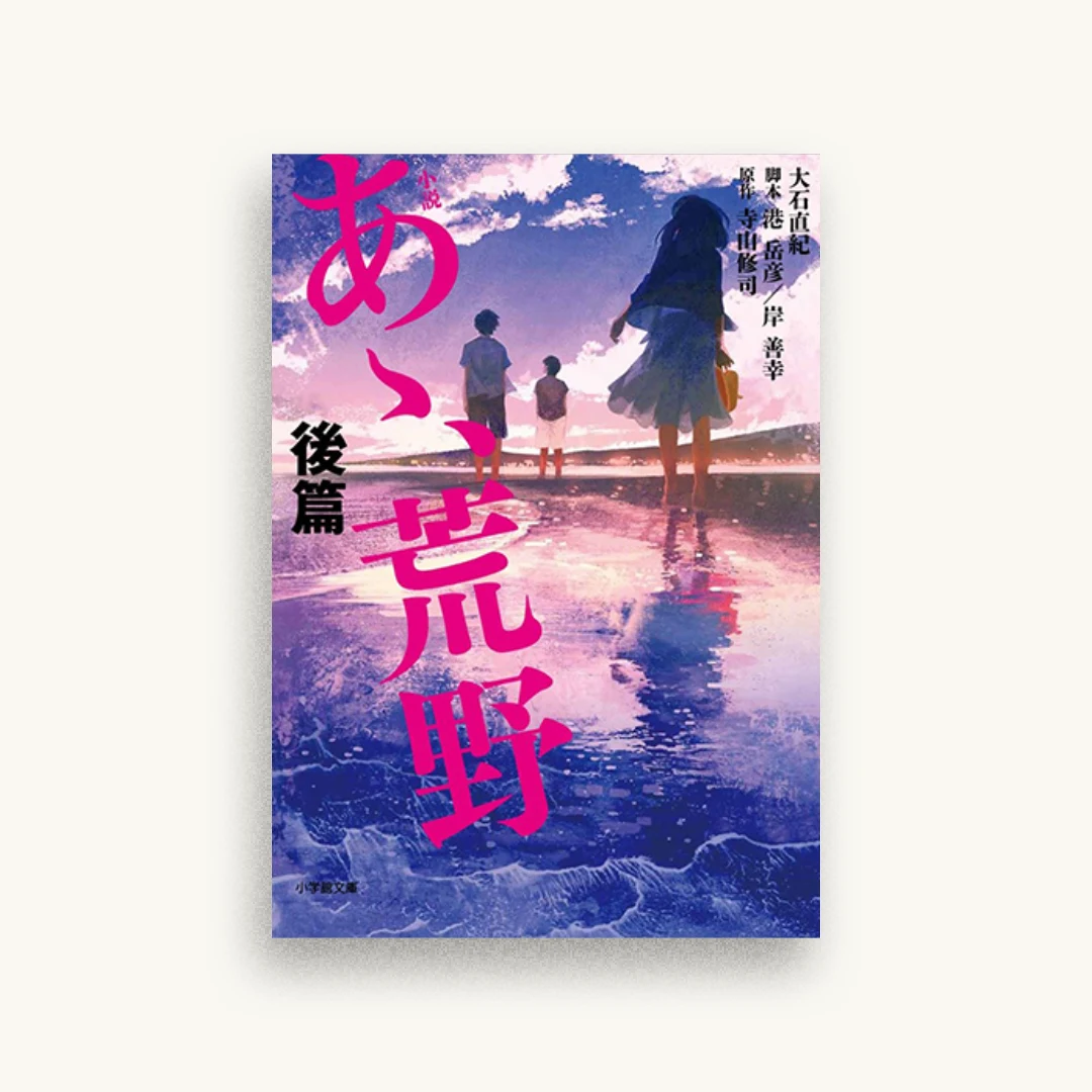 小説 あゝ、荒野 後篇