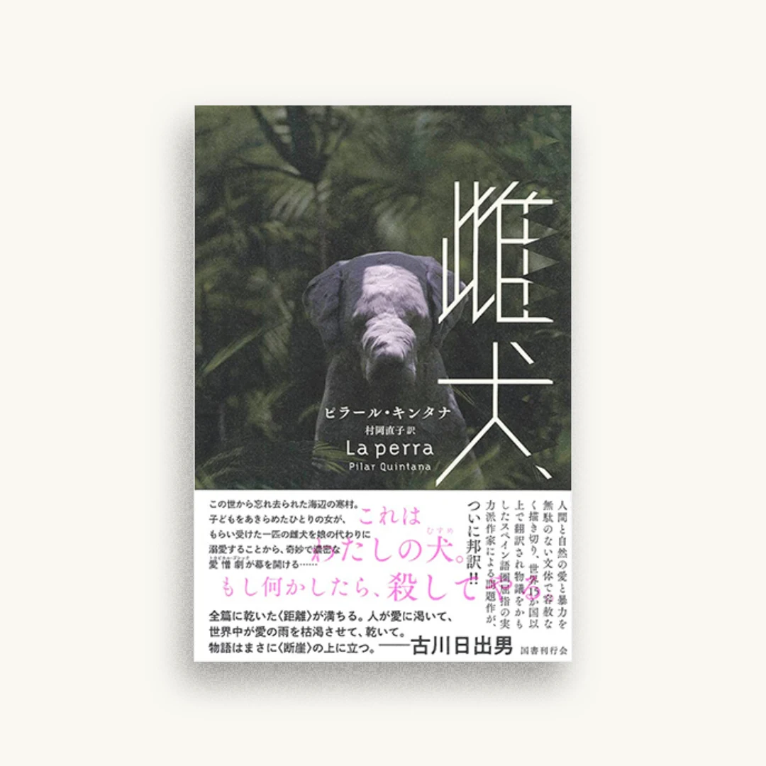 雌犬