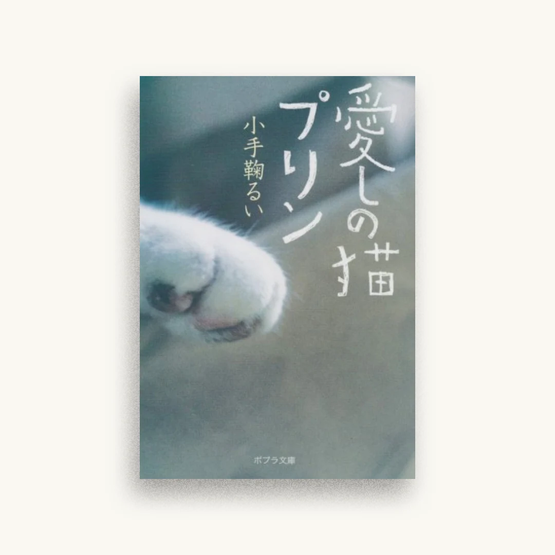 愛しの猫プリン