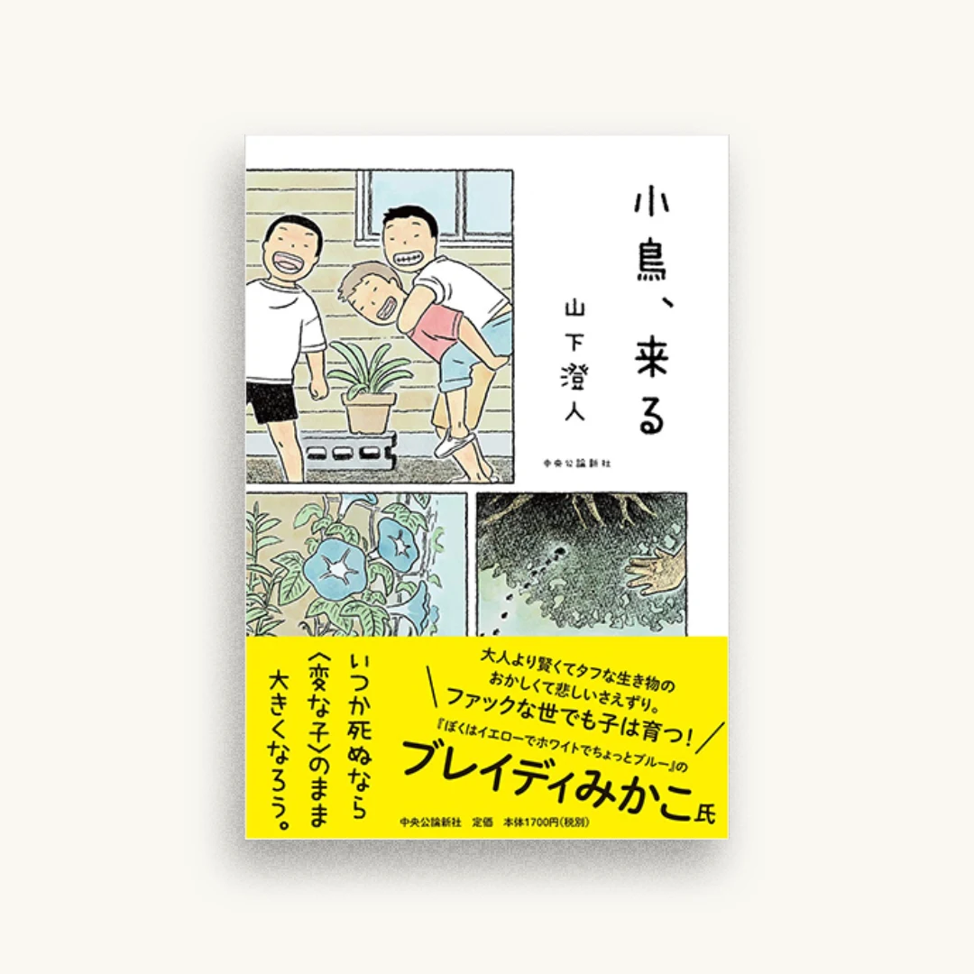 小鳥、来る