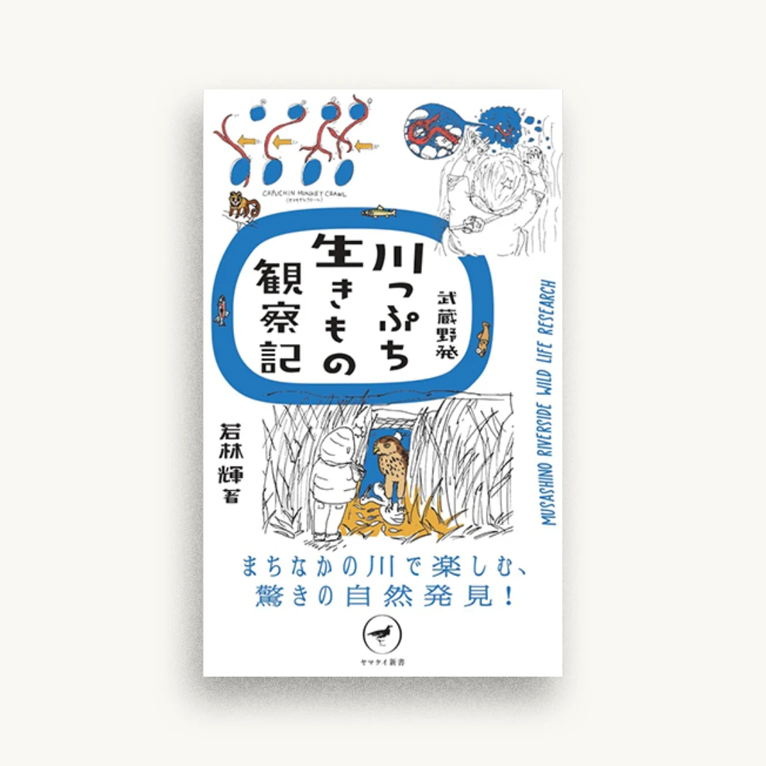 武蔵野発 川っぷち生きもの観察記