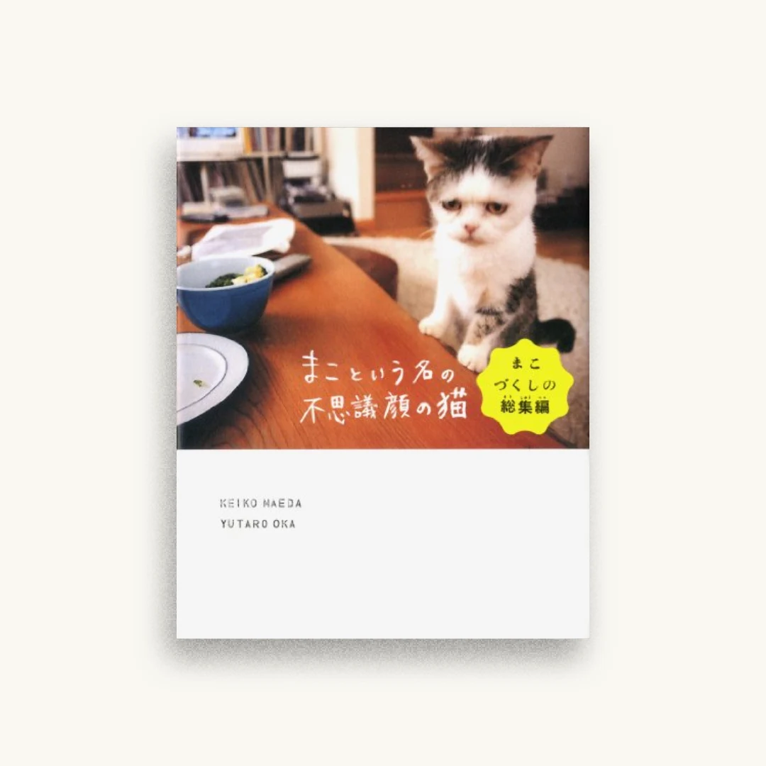 まこという名の不思議顔の猫 まこづくしの総集編