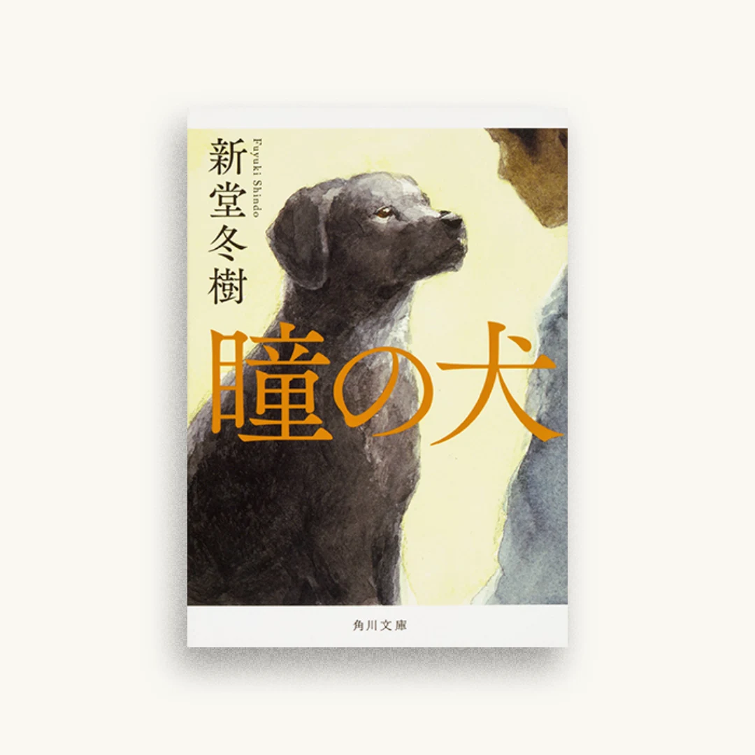 瞳の犬