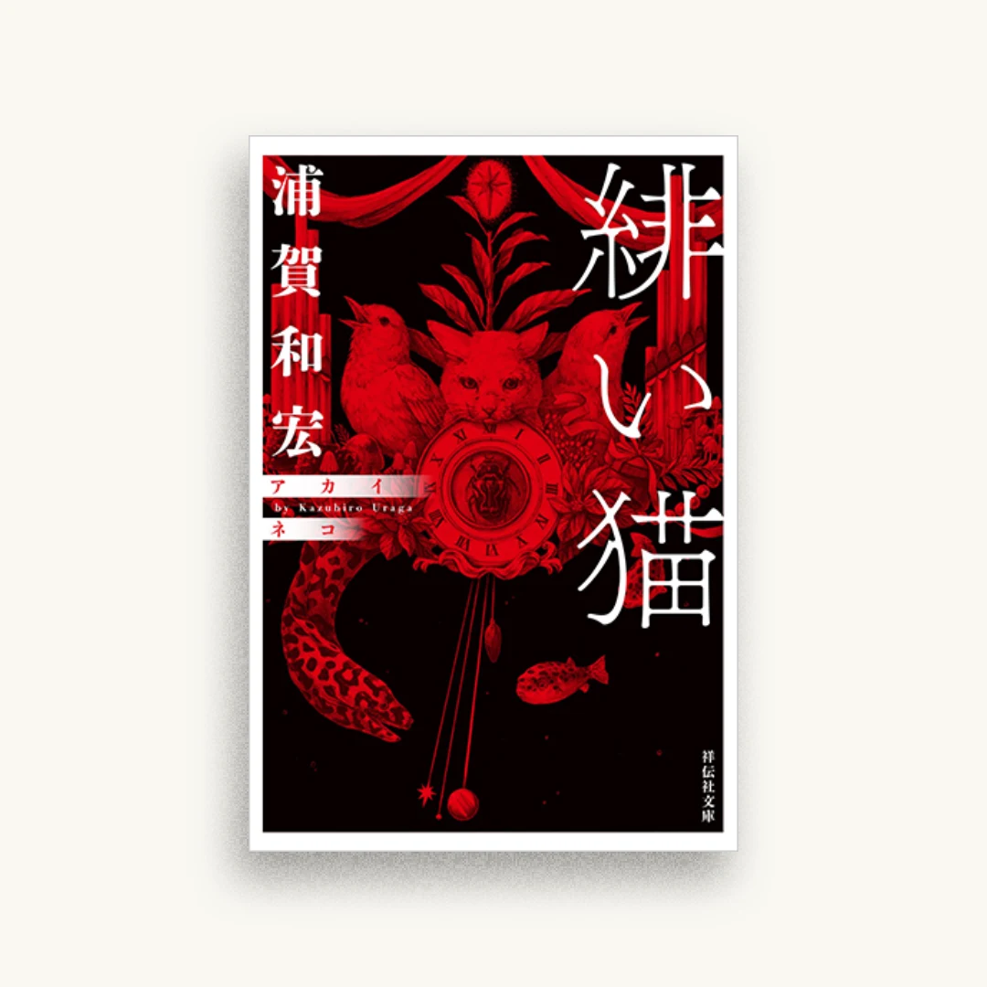 緋い猫