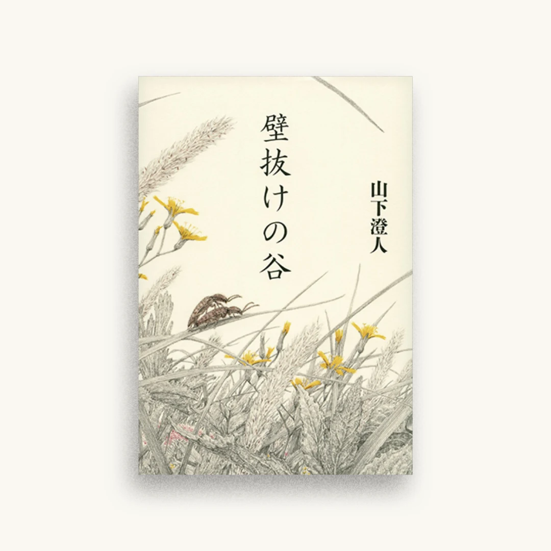 壁抜けの谷