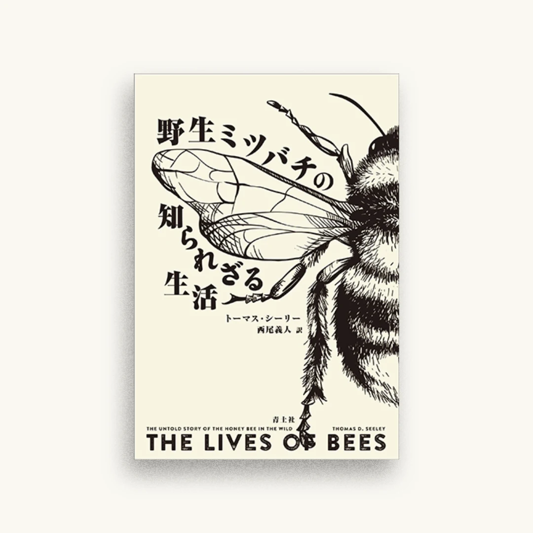 野生ミツバチの知られざる生活