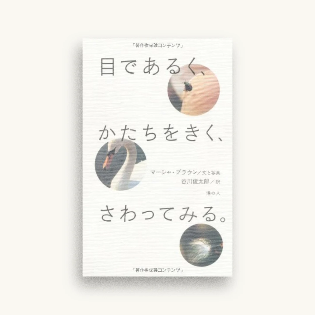 目であるく、かたちをきく、さわってみる。